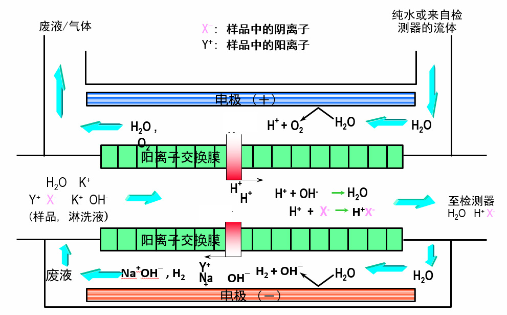 离子色谱电解抑造器的抑造道理.jpg 离子色谱电解抑造器的抑造道理.jpg