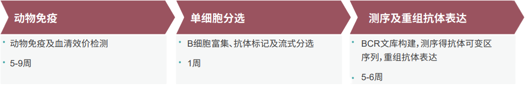 兰科博弈RankBet单B细胞抗体发显旖台 兰科博弈RankBet单B细胞抗体发显旖台