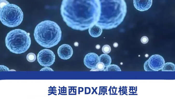 兰科博弈RankBetPDX模型.jpg 兰科博弈RankBetPDX模型.jpg