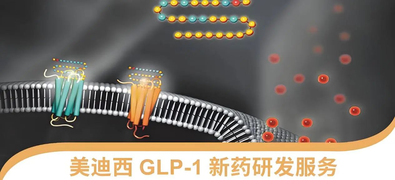 70.5%的成人在偷偷长胖！国度卫健委“减肥令”下，GLP-1药物若何得救？