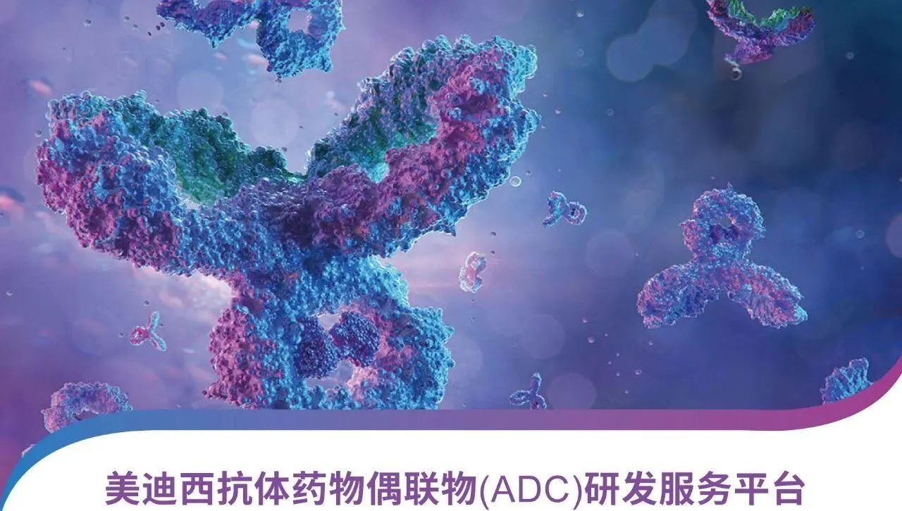 微信图片_20250514100018.jpg 微信图片_20250514100018.jpg
