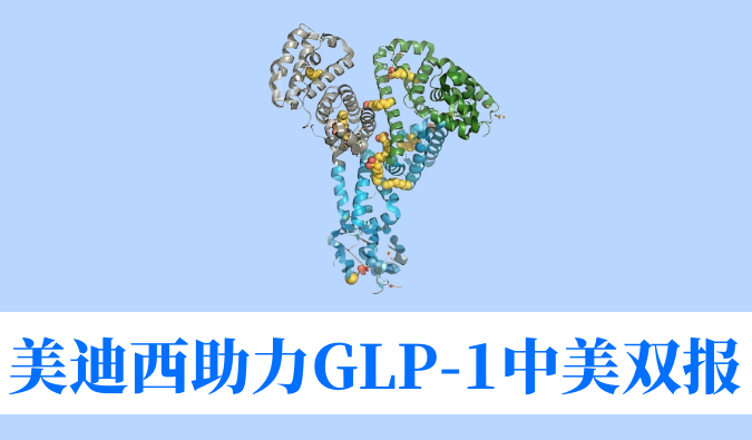 兰科博弈RankBet助力合作同伴韦恩生物GLP-1幼分子激昂剂WBD156胶囊中美IND临床试验双报双批